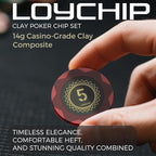Clay Poker Set with Numbered Chips 500-pcs for Card Board Game, 14g Weight with Playing Cards for Texas Hold'em, Blackjack Gambling, Late Night Poker Games