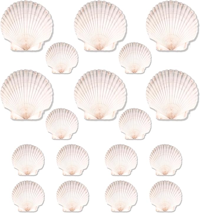 20PCS Natural Scallop Shells for Crafts & Baking - 6 Large (4-5in) & 14 Medium (2-3in) Seashells - DIY Painting, Beach Wedding Decor, Resin Art, Coastal Home Decoration, Party Centerpieces
