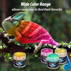 BALTIC DAY - Chameleon Mica Powder, 8 Jars of Color Shift Mica Powder Set - Epoxy Resin Color Pigment Powder - Chameleon Powder - Holographic Mica Powder - Nr2