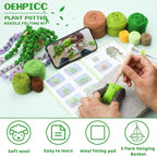 OEHPICC Needle Felting Kit, 5 Pack Hanging Plants Needle Felt Beginner Kit, Including Basic Felting Tools, Instructions, Felt Craft Kit for Indoor Outdoor Office and Home Decor