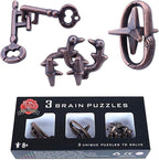 Brain Teaser Puzzle for Adults Puzzles Metal Hole Lock Adult Educational Toy Jigsaw IQ Puzzle (Ferrous)
