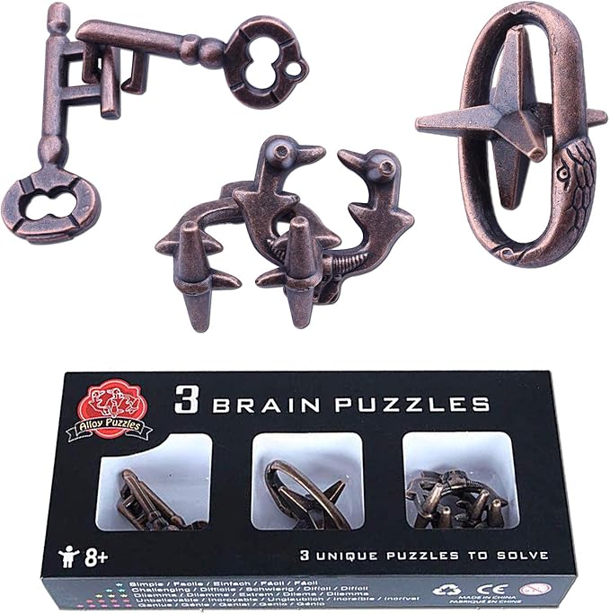 Brain Teaser Puzzle for Adults Puzzles Metal Hole Lock Adult Educational Toy Jigsaw IQ Puzzle (Ferrous)