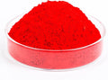 GOODTAKE Red Iron Oxide Pigment Powder - Concrete Cement Dye Color for Pastel Tile Paint, Mortar, Grout (Red, 16 oz)
