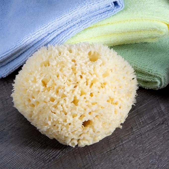 Sea Wool Sponge - All Natural Honeycomb Renewable Sea Sponge, Hand Cut, Jumbo, Approx. 7 Inches