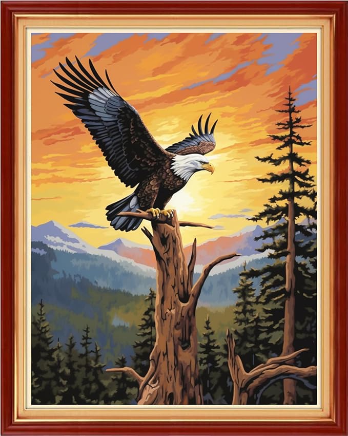 DMCVIVR Stamped Cross Stitch Kits for Adults Beginners Embroidery Kits 11CT Needlepoint Kits Cross Stitch Patterns Embroidery Patterns&Sunset Eagle 16x20 inch