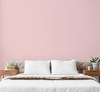 EVOLVE Paint & Primer: Environment-friendly, Low Sheen with One-coat Coverage for Interior & Exterior surfaces (Posy Pink, 1-Gallon)