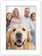 8.5x11 Mat for 5.5x8.5 Photo - Precut White on White Double Mat Picture Matboard for Frames Measuring 8.5 x 11 Inches - Bevel Cut Matte to Display Art Measuring 5.5 x 8.5 Inches - Acid Free ONE MAT