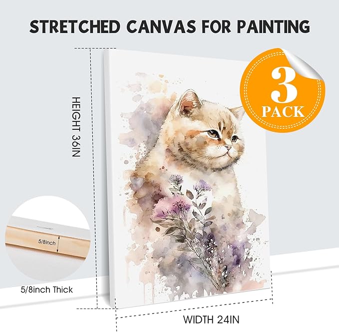 ESRICH Stretched Canvas for Painting 24x36 Inch, 3Pack Large Canvas for Painting, Primed Acid-Free Cotton Blank Canvases, Art Paint Canvases for Oil Paint,Watercolor,Acrylic Paint,Gouache and Tempera.
