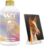 Acrylic Varnish, Professional Matte Varnish for Acrylic Painting, Seals and Protects Artworks, Non-Toxic, Art Acrylic Paint Sealer for Handmade Artists, Painter & Kids (200ml/Matte)