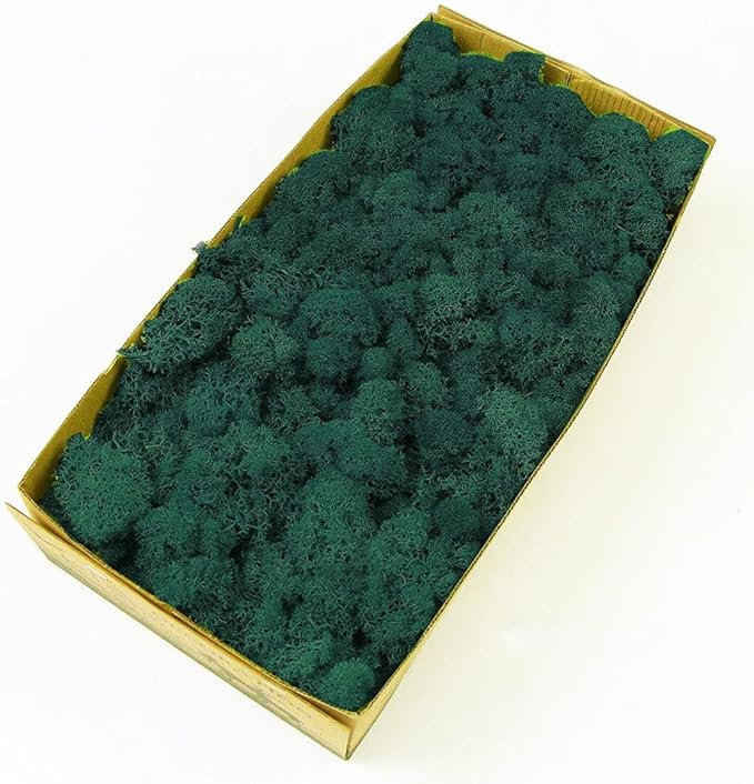 Preserved Reindeer Moss Natural Green DIY Kit Gardenning Art Wall Decor Florist Decor Easter Table Decor Wedding