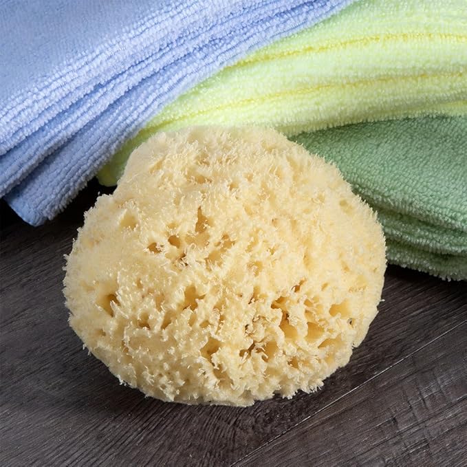 Sea Wool Sponge - All Natural Honeycomb Renewable Sea Sponge, Medium, Approx. 4 Inches