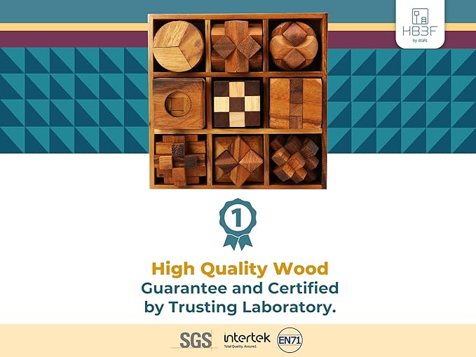 BSIRI 9 in 1 Wooden Brain Teaser Puzzles for Adults Teens and Kids Box Set for All Ages Wood Hard Level 10 Impossible Mind Wood Brain Teaser Games 3D Hand Puzzle Sets for Decoration and Mini Toys