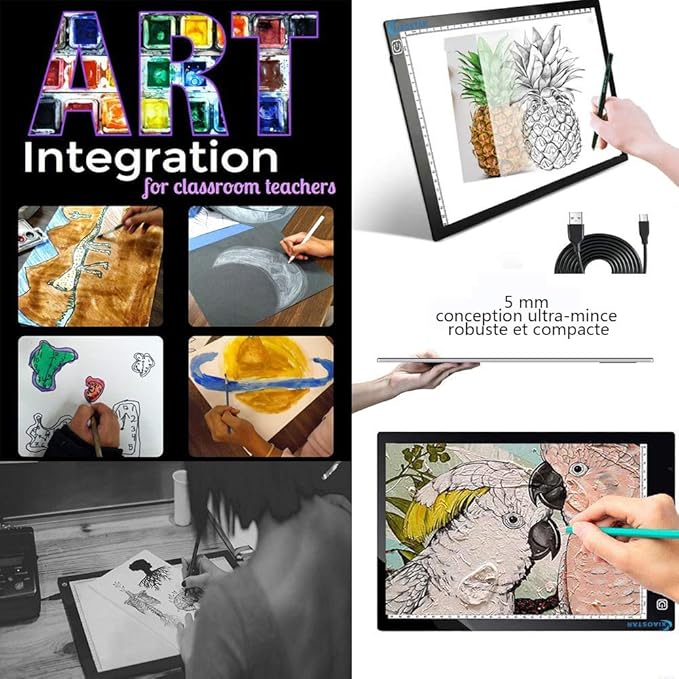 Light Box Drawing Pad, Tracing Board with Type-C Charge Cable and Brightness Adjustable for Artists, AnimationDrawing, Sketching, Animation, X-ray Viewing (FR-A4-P-black)