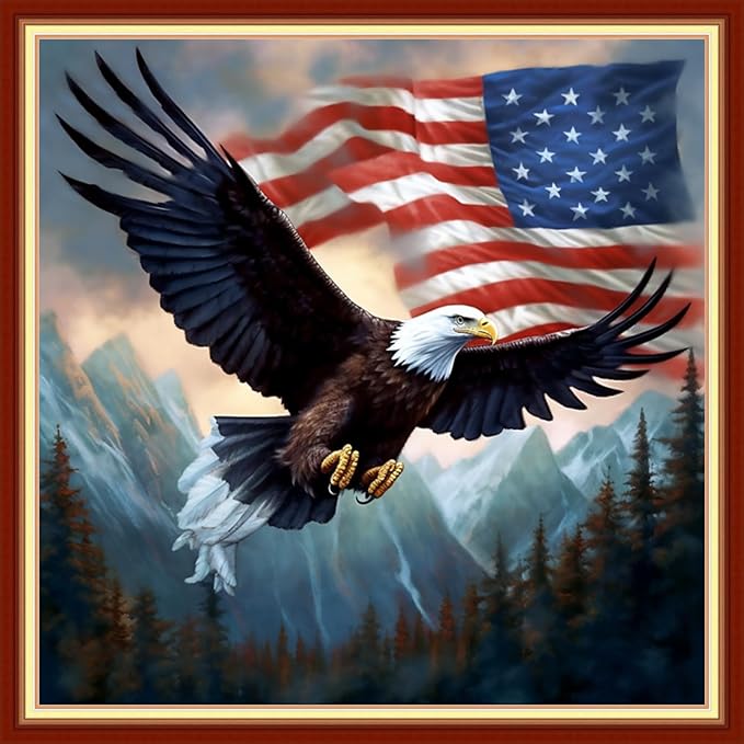 DMCVIVR Stamped Cross Stitch Kits for Adults Beginners Embroidery Kits 11CT Needlepoint Kits Cross Stitch Patterns Embroidery Patterns& Eagle National Flag 18x18 inch