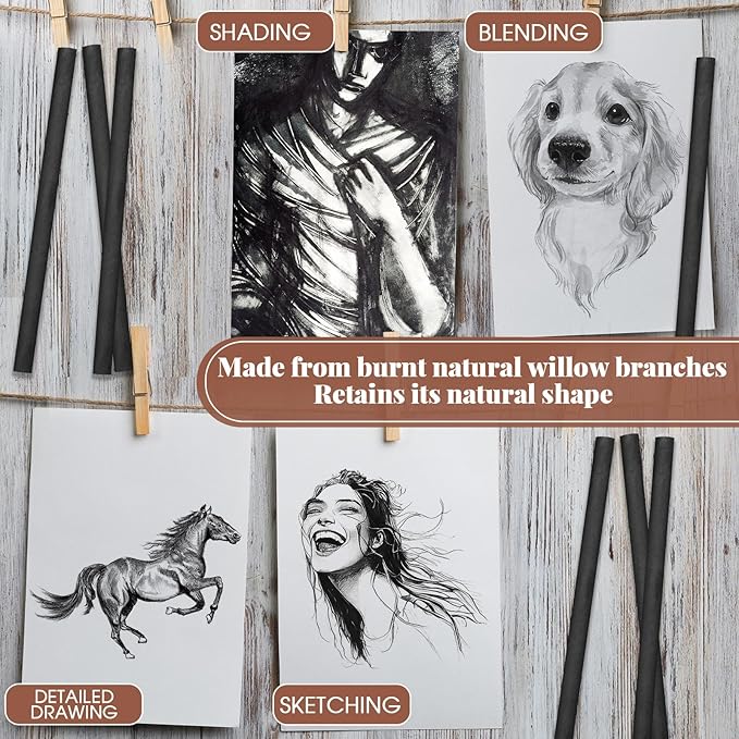 Gueevin 25 Pcs Willow Charcoal Sticks, Willow Charcoal, Artists, Beginners, Students, Perfect for Sketching, Drawing, Shading, and Fine Art Christmas Gifts for Art (7-9mm)
