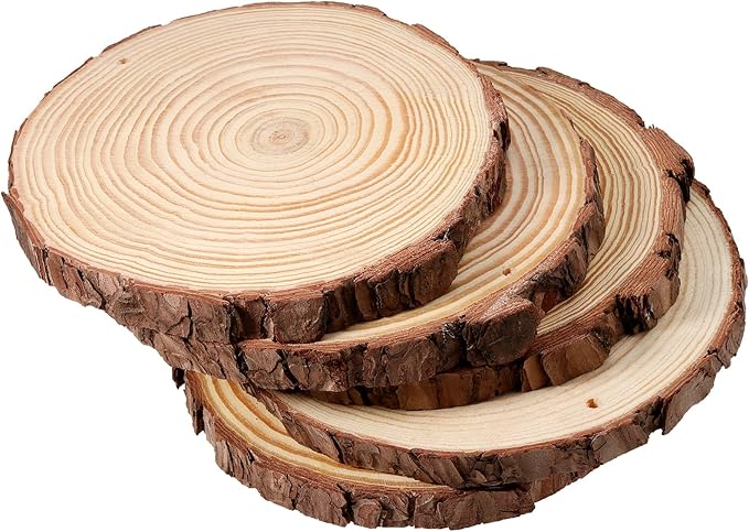 JEUIHAU 10 PCS 6.7-7 Inches Natural Wood Slices with Holes, Unfinished Predrilled Wooden Circles Tree Bark Slice, Blank Wooden Log Circles for DIY Crafts, Arts Wood Slices, Christmas Ornaments