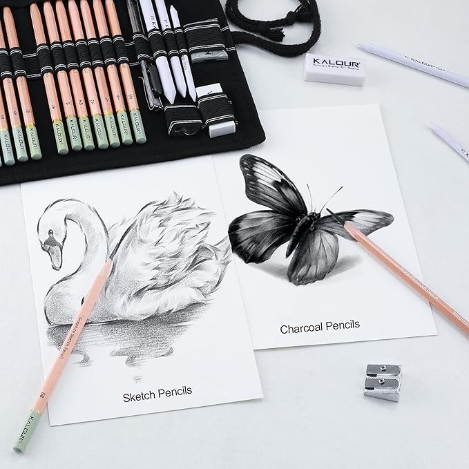 KALOUR 29 Pro Sketching Drawing Pencils Set with Roll-Up Nylon Case – 14 Graphite Pencils (14B–5H), Charcoal Pencils, Erasers, Sharpener & Stumps – Complete Art Kit for Artists & Beginner