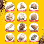 Dan&Darci Real Fossil Dig Kit for Kids - Science Kits for Boys & Girls Age 8-12 - Birthday Gift Ideas for 8, 9, 10, 11, 12 Year Old Boy or Girl - Fossils Digging STEM Toys for Ages 8-13