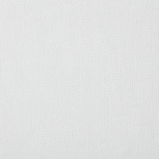 Centurion Deluxe Professional Oil Primed Linen Stretched Canvas, 11oz Linen, 30x40 - Box of 6, 0.67" Deep Canvases, Kiln-Dried Stretchers, Back Stapled, Premium Medium Weight Canvas for Oil Paintings