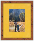8x10 Mat Bevel Cut for 5.5x8.5 Photos - Acid Free Sunrise Yellow Suede Precut Matboard With Backing Board and Crystal Clear, Self Seal Photo Mat Bag - For Pictures, Photos, Framing - 4-ply Thickness