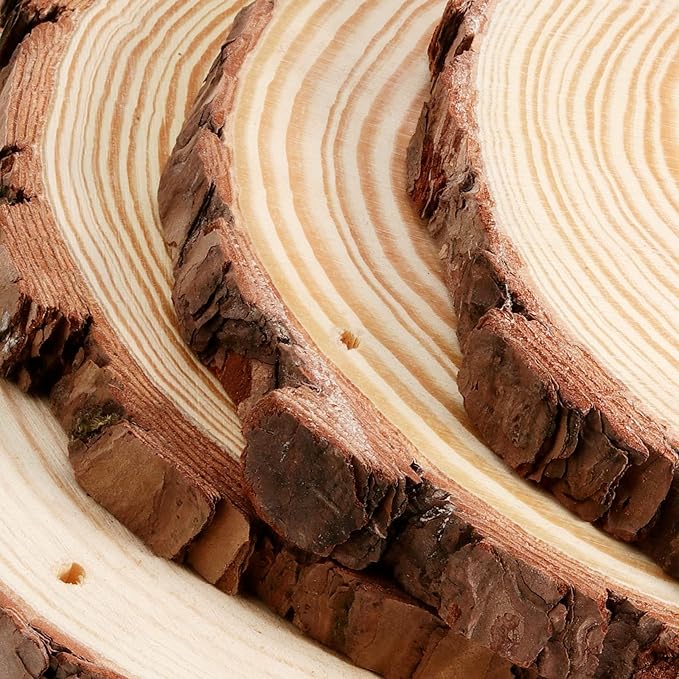 JEUIHAU 12 PCS 5.5-5.9 Inches Natural Wood Slices with Holes, Unfinished Predrilled Wooden Circles Tree Bark Slice, Blank Wooden Log Circles for DIY Crafts, Arts Wood Slices, Christmas Ornaments