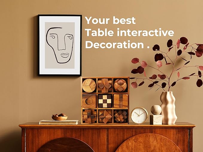 BSIRI 9 in 1 Wooden Brain Teaser Puzzles for Adults Teens and Kids Box Set for All Ages Wood Hard Level 10 Impossible Mind Wood Brain Teaser Games 3D Hand Puzzle Sets for Decoration and Mini Toys