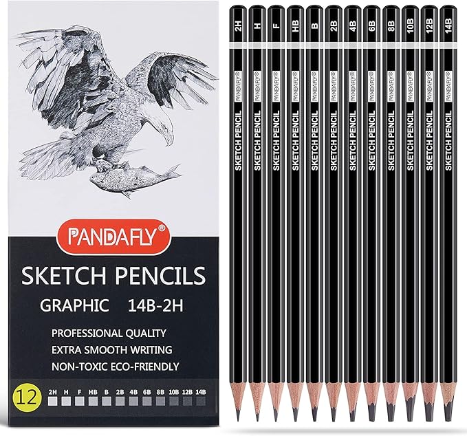 PANDAFLY Professional Drawing Sketching Pencil Set - 12 Pieces Graphite Pencils(14B - 2H), Ideal for Drawing Art, Sketching, Shading, Artist Pencils for Beginners & Pro Artists