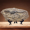 XINDAM Resin Tyrannosaurus Rex Dinosaur Fossil Statue Model Simulated Skeleton Home Office Display Decorative Craft Box Decoration (Style 5)