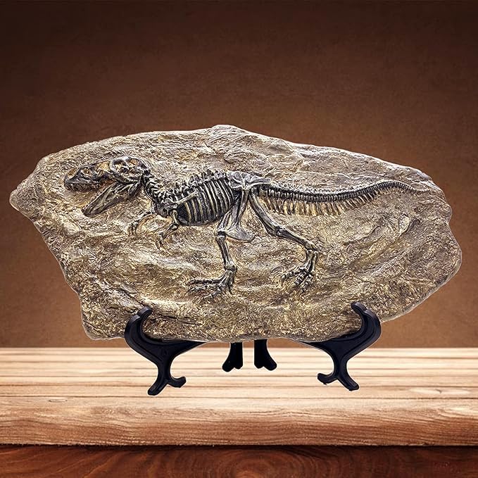 XINDAM Resin Tyrannosaurus Rex Dinosaur Fossil Statue Model Simulated Skeleton Home Office Display Decorative Craft Box Decoration (Style 5)