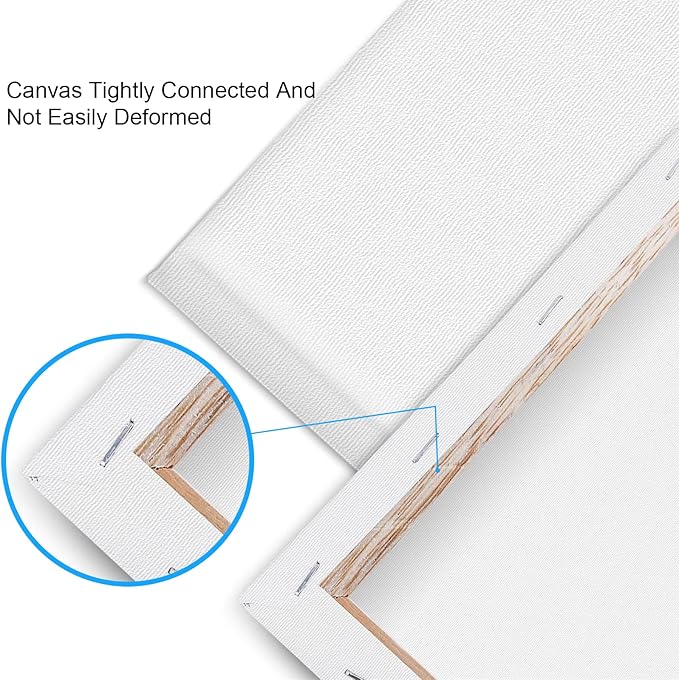 12 Pack Canvases for Painting with 11x14, Painting Canvas for Oil & Acrylic Paint.