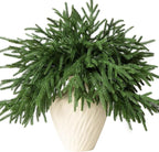 12 Pcs Artificial Norfolk Pine Branches - 18" Realistic Faux Christmas Greenery Stems Fake Evergreen Cedar Picks Winter Greens for Vase DIY Crafts Garland Wreath Indoor Outdoor Holiday Decor