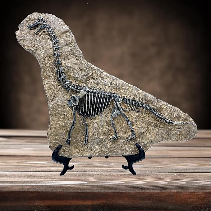 XINDAM Resin Brachiosaurus Dinosaur Fossil Statue Model Simulated Skeleton Home Office Display Decorative Craft Box Decoration (Style 7)