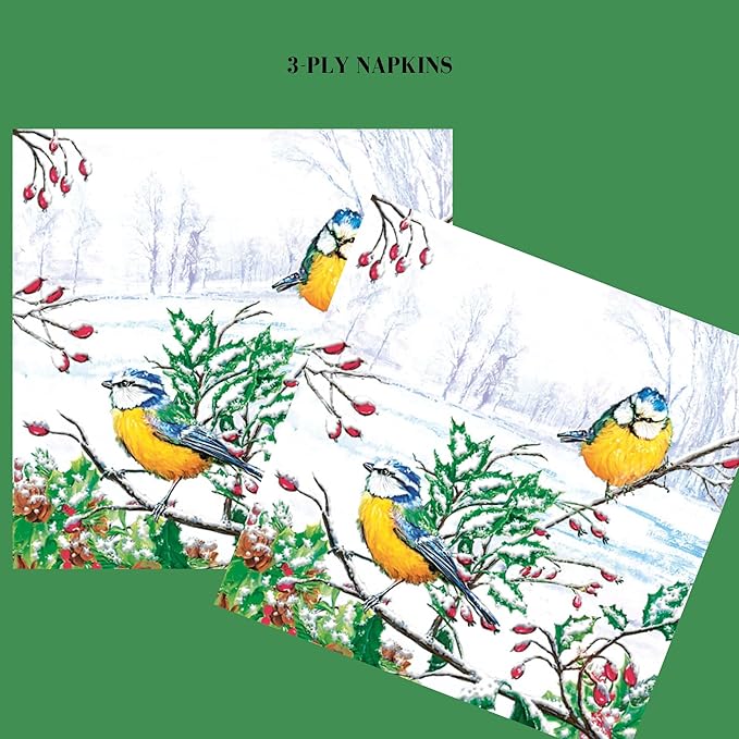 20-ct 13x13 Christmas Paper Decoupage Napkins, 3-Ply Servilletas Tissue Napkin for Dinner and Parties, Disposable Napkins (Winter Tits)