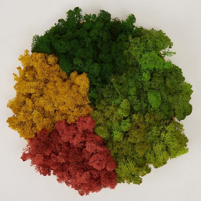 Preserved Reindeer Moss Natural Green DIY Kit Gardenning Art Wall Decor Florist Decor Easter Table Decor Wedding