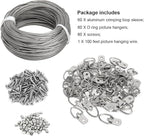 Blisstime Picture Hanging Kit - 100 Feet Braided Hanging Wire, 60 Pcs D Ring Picture Hangers with Screws and 60 Pcs Aluminum Crimping Loop Sleeve for Canvas Paintings, Photo Frames