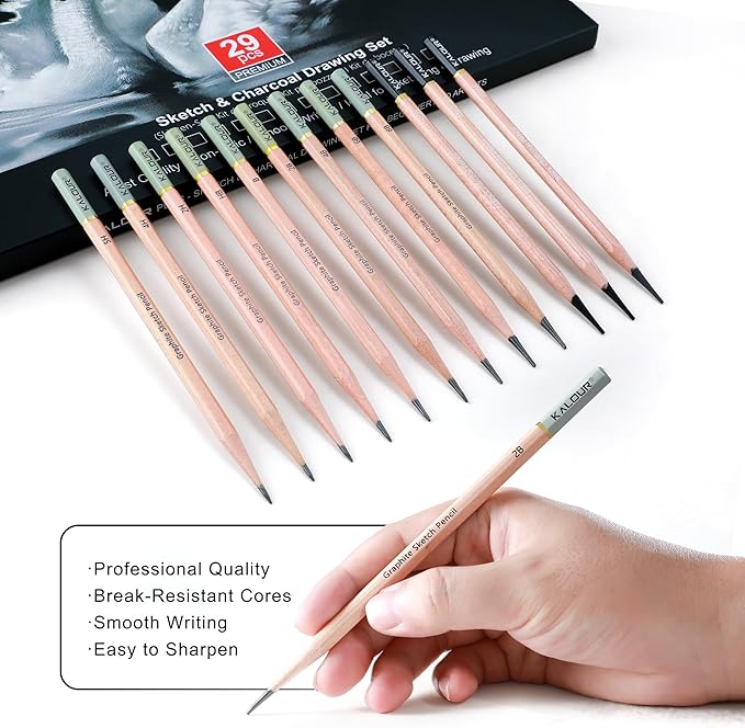 KALOUR 29 Pro Sketching Drawing Pencils Set with Roll-Up Nylon Case – 14 Graphite Pencils (14B–5H), Charcoal Pencils, Erasers, Sharpener & Stumps – Complete Art Kit for Artists & Beginner