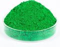 GOODTAKE Concrete Pigment, Grass Green Iron Oxide Pigment Powder, Concrete Cement Dye Color Pigment for Pastel Tile Paint Concrete Cement Mortar Grout (Grass Green, 2 Pounds)