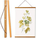 WITCOLOR Magnetic Poster Hanger Frame, Teak Magnet Poster Frame 12x16 12x18 12x36 for Paintings, Photos, Maps, Scrolls, Picture, Canvas Works and Art Prints