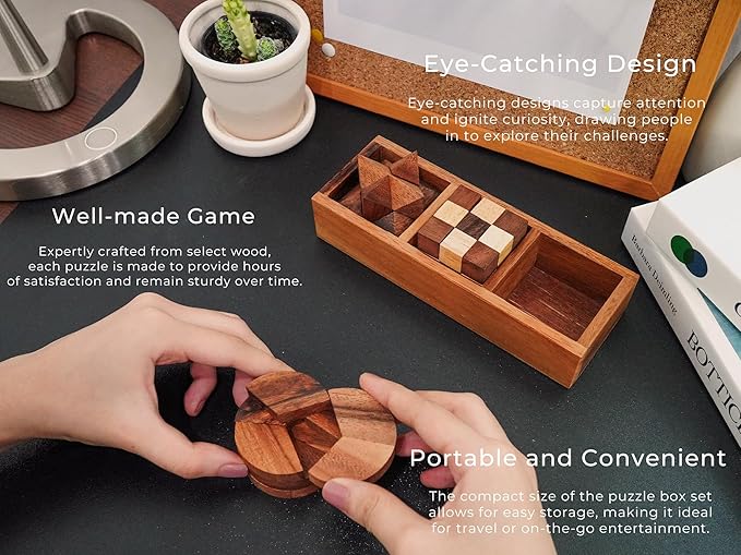 BSIRI 3-in-One Puzzle Set - Challenging Brain Teasers and 3D Puzzles for Adults, Interlocking Games for IQ Test, Ideal for Patio Decor and Unique Gift for Chismas and Birthday, Small size