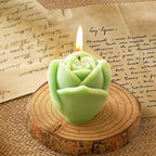 2 Pack Rose & Succulent Silicone Molds for Candle Making & Home Decor