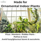Leaf Shine Spray for Indoor Plants – Plant Leaf Cleaner & Shine for Real House Plants – Fragrance-Free, Non-Sticky, Streak-Free Finish, 16 fl oz