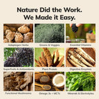 Ka’Chava All-In-One Nutrition Shake Blend, 5 Flavor Sample Pack, 5 Servings, 85+ Superfoods & Nutrients, Meal Replacement, Greens Plant-Based Superfood Powder Protein Drink, Digestive Enzymes & Probiotics, Vegan Dairy Gluten Free