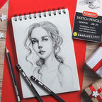 PANDAFLY Professional Drawing Sketching Pencil Set - 12 Pieces Graphite Pencils(14B - 2H), Ideal for Drawing Art, Sketching, Shading, Artist Pencils for Beginners & Pro Artists