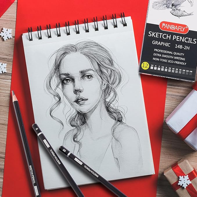 PANDAFLY Professional Drawing Sketching Pencil Set - 12 Pieces Graphite Pencils(14B - 2H), Ideal for Drawing Art, Sketching, Shading, Artist Pencils for Beginners & Pro Artists