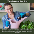 3-1-2 African Violet Fertilizer for Indoor Plants: Liquid Fertilizer with Essential Micronutrients Drops - Plant Food for African Violets (32 OZ)