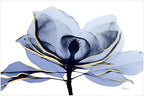Empire Art Direct Frameless Free Floating Tempered Glass Panel Graphic Wall Art Ready to Hang, 32" x 48", Golden Midnight 2