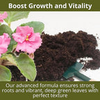 3-1-2 African Violet Fertilizer for Indoor Plants: Liquid Fertilizer with Essential Micronutrients Drops - Plant Food for African Violets (16 OZ)