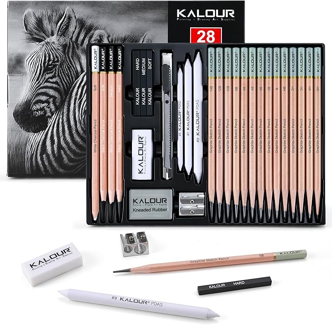 KALOUR 28 Pro Sketching Drawing Pencils Set – 14 Graphite Pencils (14B–5H), Charcoal Pencils, Erasers, Sharpener & Stumps – Complete Art Kit for Artists & Beginner