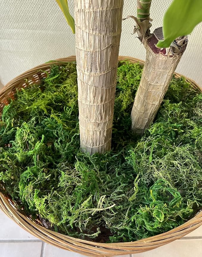 Artificial Moss, 10.5 OZ Green Moss for Decorating, Faux Moss for Crafts, Decorative Moss for Plants Indoor, Table Centerpieces, Fairy Garden Wedding Decor, Fake Moss Decor