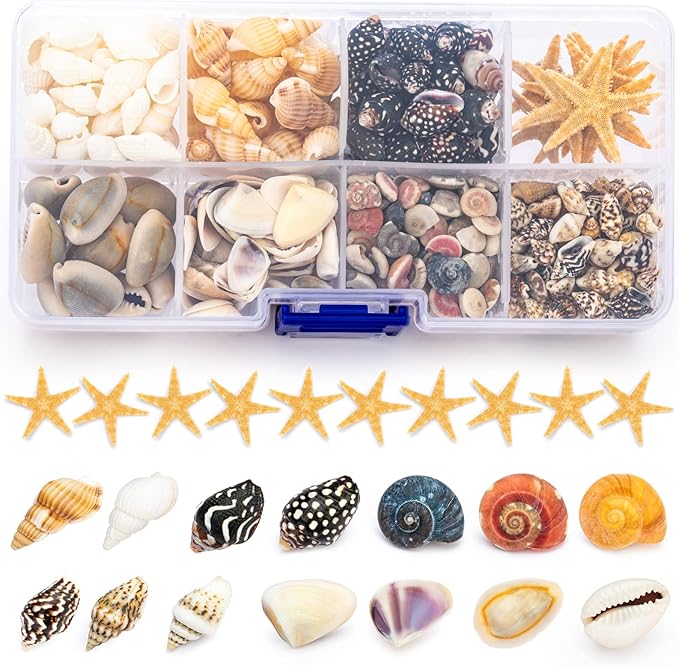 Premium Tiny Seashell Mix, Including Sea Shells, Sea Snails and Starfish Total 300+PCS (8 Kinds), Shells for Crafts Decorating Resin and Mosaics Projects DIY Crafts Home Decor Beach Themed Party